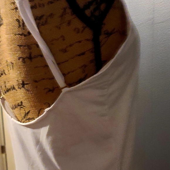 Bride and Groom Bundle.Bride Tank size LG wall plagues and drink container - Picture 13 of 14